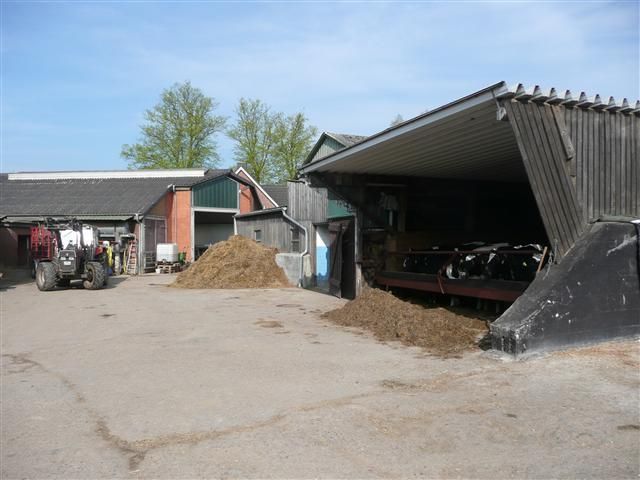 Farm cows