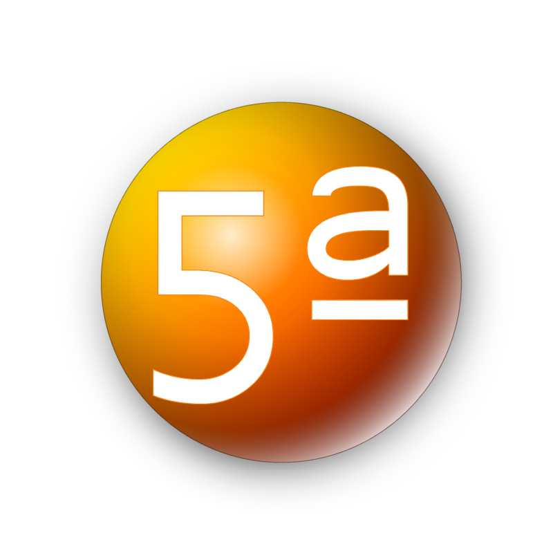 5 reunion virtual