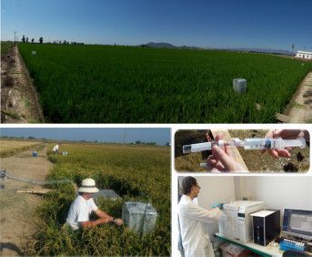 imagen viñas1
