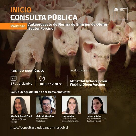 Consulta publica